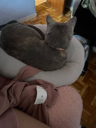 Silla de Oficina Ergonómica Rosa