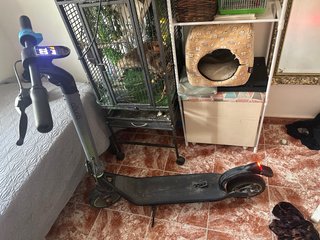 Patinete eléctrico Bongo