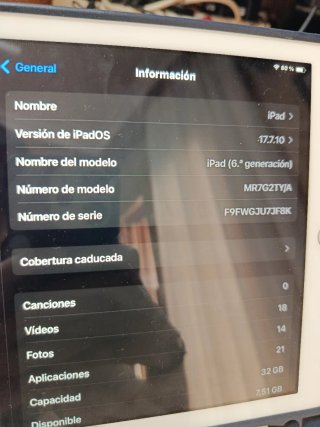 Apple iPad Plata, 6A generación.