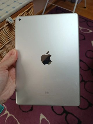 Apple iPad Plata, 6A generación.