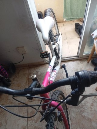Bicicleta de Montaña
