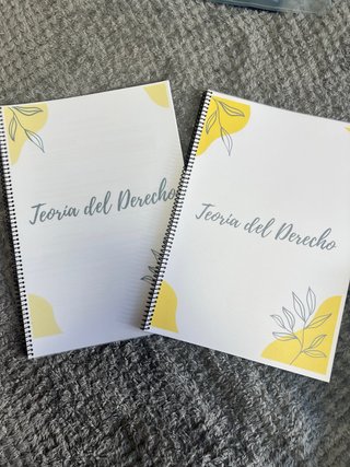 Apuntes de 1º de Derecho