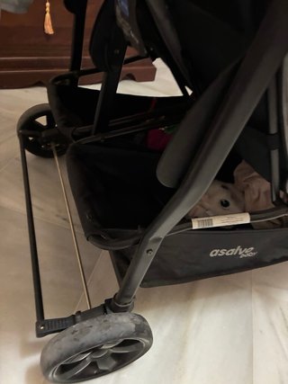 Silla Gemelar Asalvo