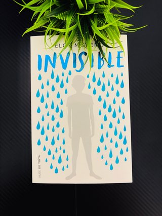 Libro Invisible.