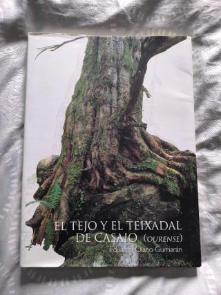 El tejo y el teixadal de Casaio