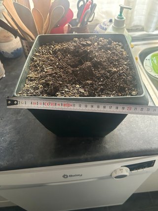 Maceta con Depósito de Agua