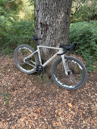 Bicicleta Gravel Scott Addict 20 Talla S