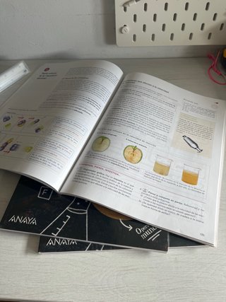 Libros Física y  Química de 3 de la eso ( los tres