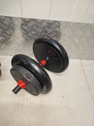 Lote de 2 Mancuernas con Discos