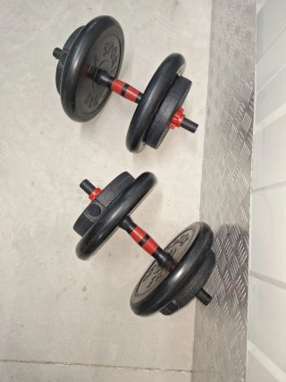Lote de 2 Mancuernas con Discos