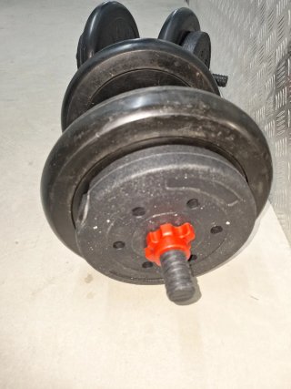 Lote de 2 Mancuernas con Discos