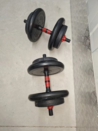 Lote de 2 Mancuernas con Discos
