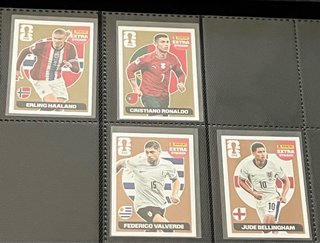 Panini Extra Sticker