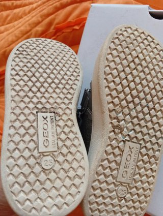 Sapatilhas Geox Cinzentas Tamanho 25