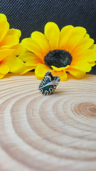 Charm Plata Hojas Monstera Verde