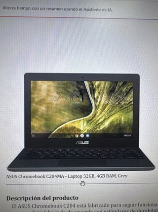 ASUS Chromebook C204MA Gris 32GB