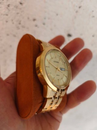 Orologio Citizen BF2013-56P