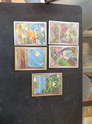 Carte Pokemon