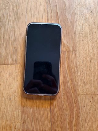 iPhone 13 Pro Plata