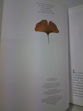 La historia de la creación de las mariposas