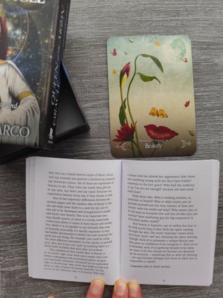 Oráculo Queen of the Moon Oracle de Stacey Demarco
