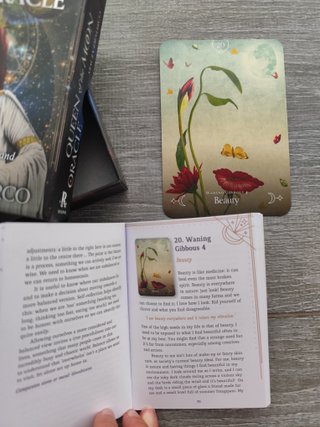 Oráculo Queen of the Moon Oracle de Stacey Demarco