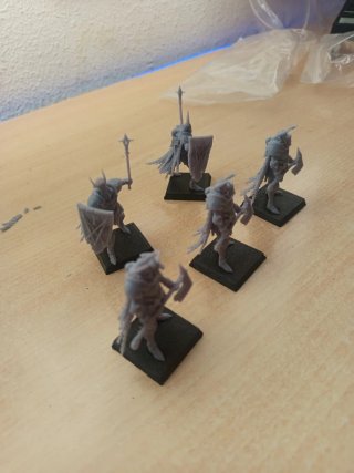 Caballeros Cruzada Gris