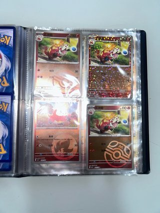 Álbum de Cartas Pokémon (Chinas y Japonesas)