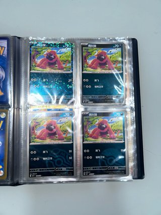 Álbum de Cartas Pokémon (Chinas y Japonesas)