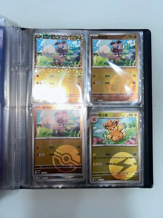 Álbum de Cartas Pokémon (Chinas y Japonesas)