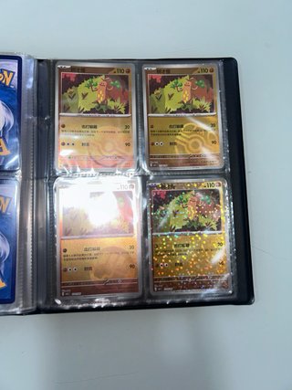 Álbum de Cartas Pokémon (Chinas y Japonesas)