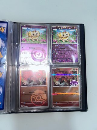Álbum de Cartas Pokémon (Chinas y Japonesas)