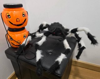 Araña y 2 cubos calabaza Halloween