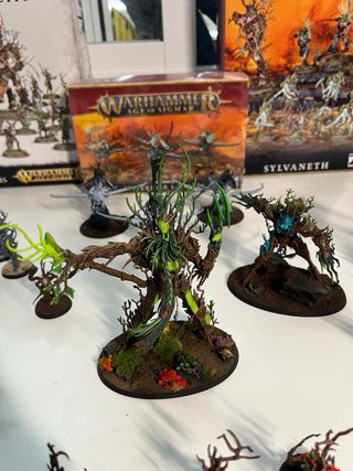 Pack Sylvaneth Warhammer Age of Sigmar.