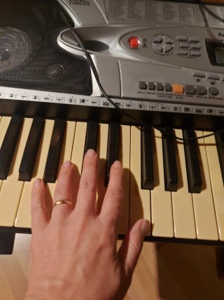 Teclado Karcher y soporte