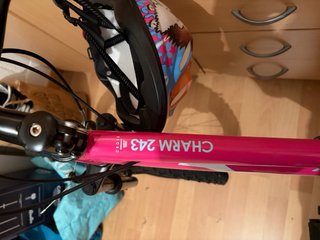 Bicicleta juvenil rosa MÍTICAL