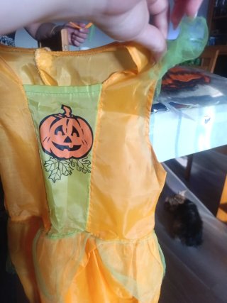 Disfraz Calabaza 3/4 años