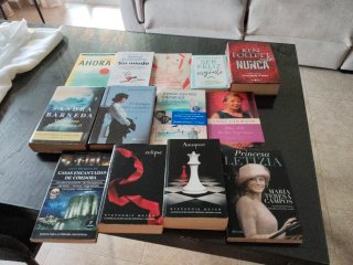Lote de libros.