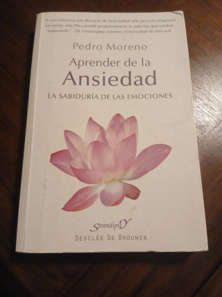 Aprender de la ansiedad: la sabiduría de las em...