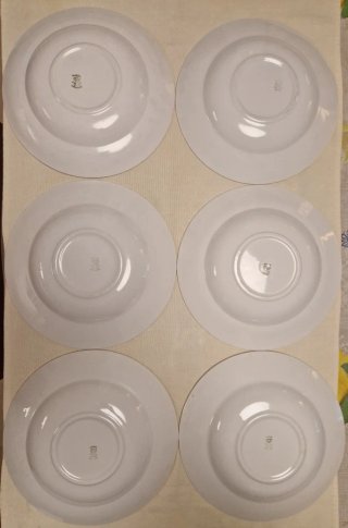 Seis platos hondos loza Royal China Vigo