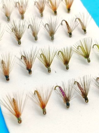Set de 24 Moscas Leonessa sin muerte