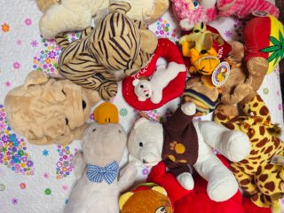 peluches variados