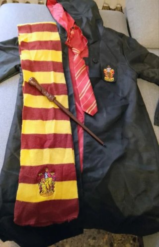 Disfraz de Harry Potter
