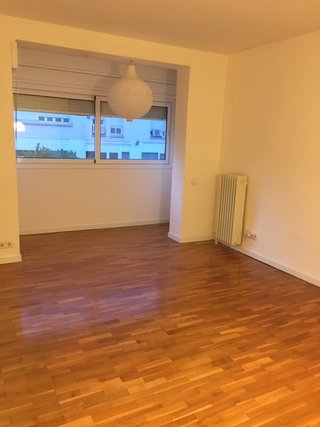 Pintor economico