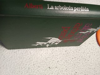 La arboleda perdida