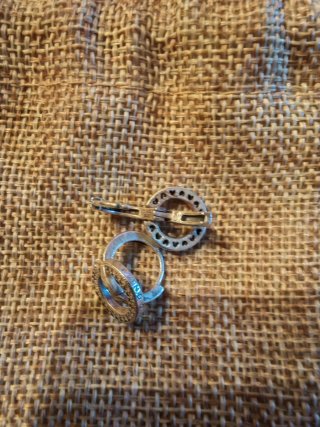 Pendientes Pandora