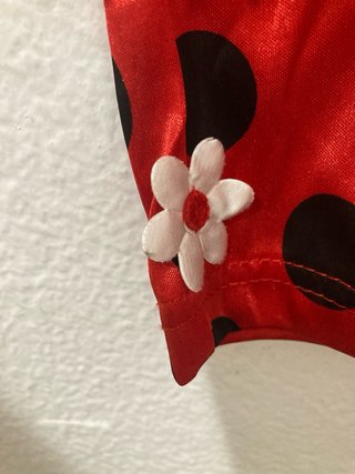 Disfraz de Mariquita con Tutú