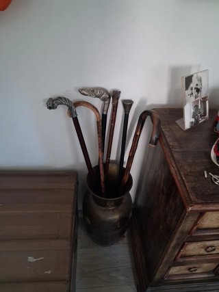Bastoni da collezione lotto