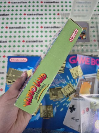 Wario Land: Super Mario Land 3 Game Boy