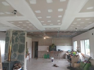 Pladurista. Pintor. Reformas
